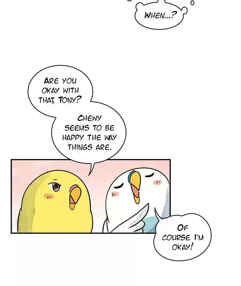 A Budgie's Life Chapter 241: Ep.240:
