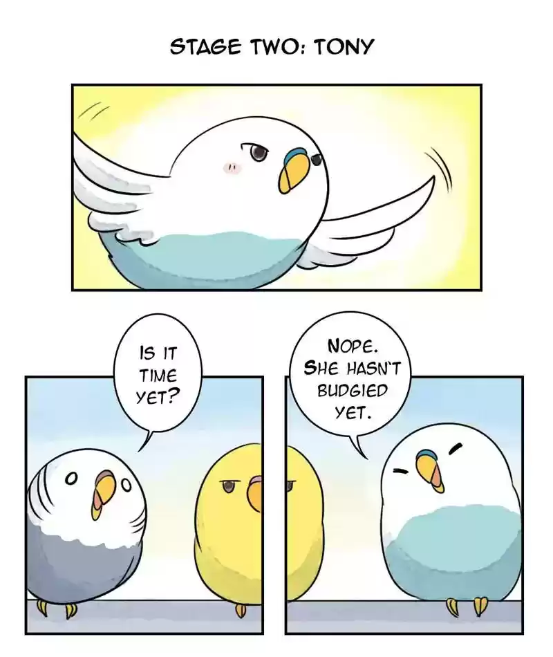 A Budgie's Life Chapter 242: Ep.241: