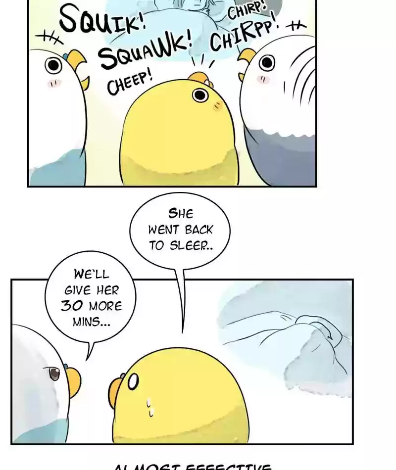 A Budgie's Life Chapter 242: Ep.241: