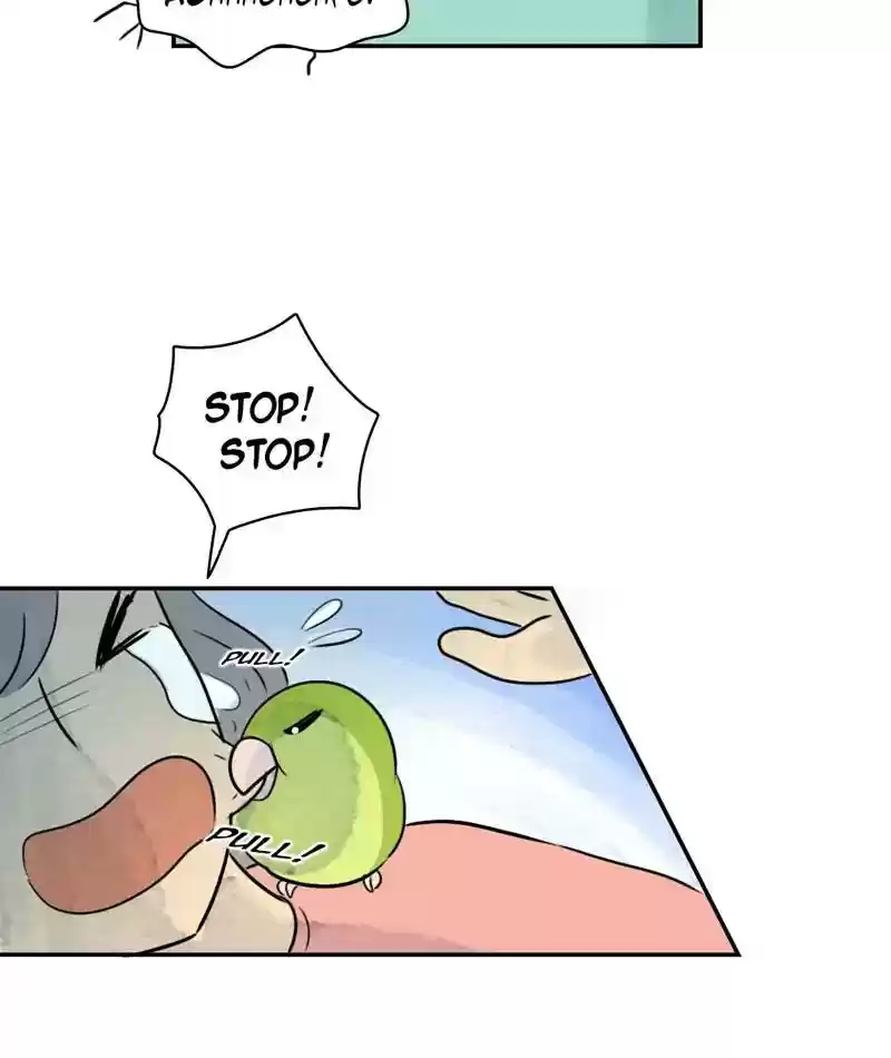 A Budgie's Life Chapter 242: Ep.241: