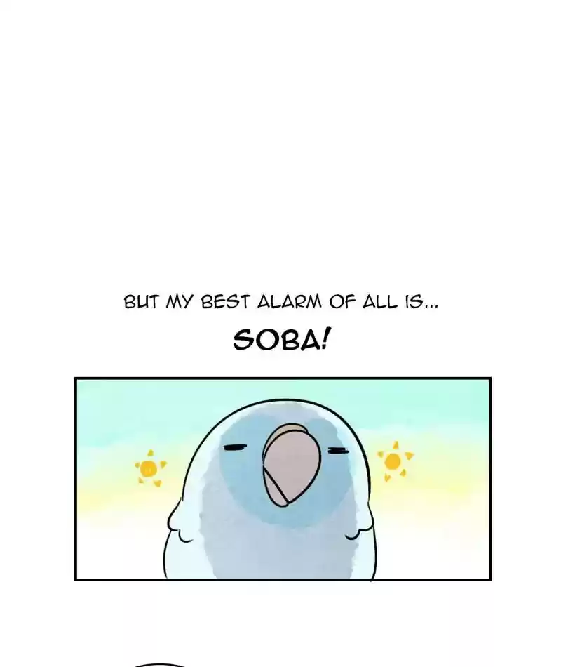 A Budgie's Life Chapter 242: Ep.241: