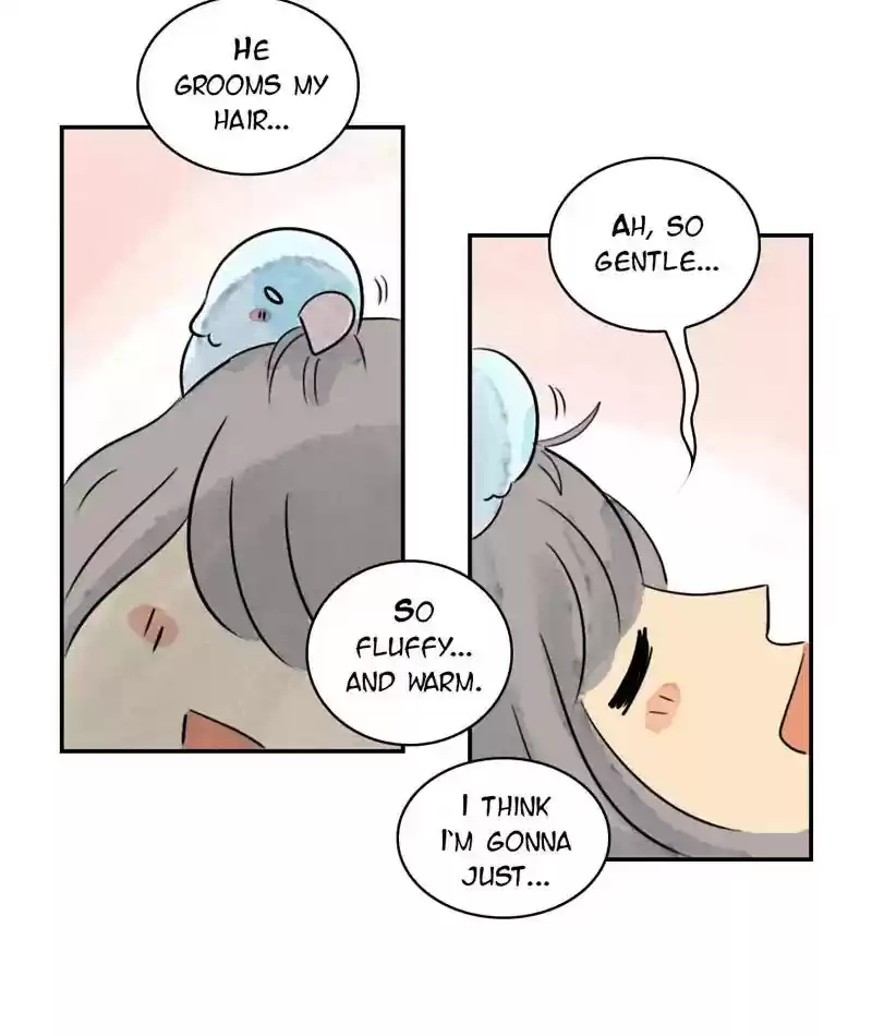 A Budgie's Life Chapter 242: Ep.241: