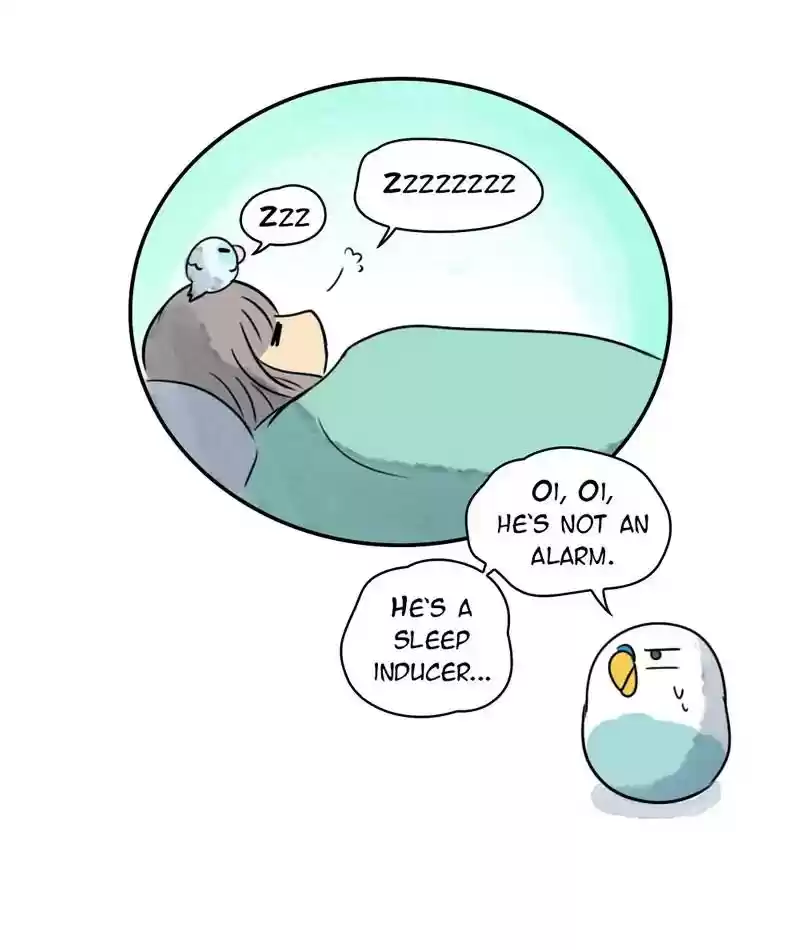 A Budgie's Life Chapter 242: Ep.241: