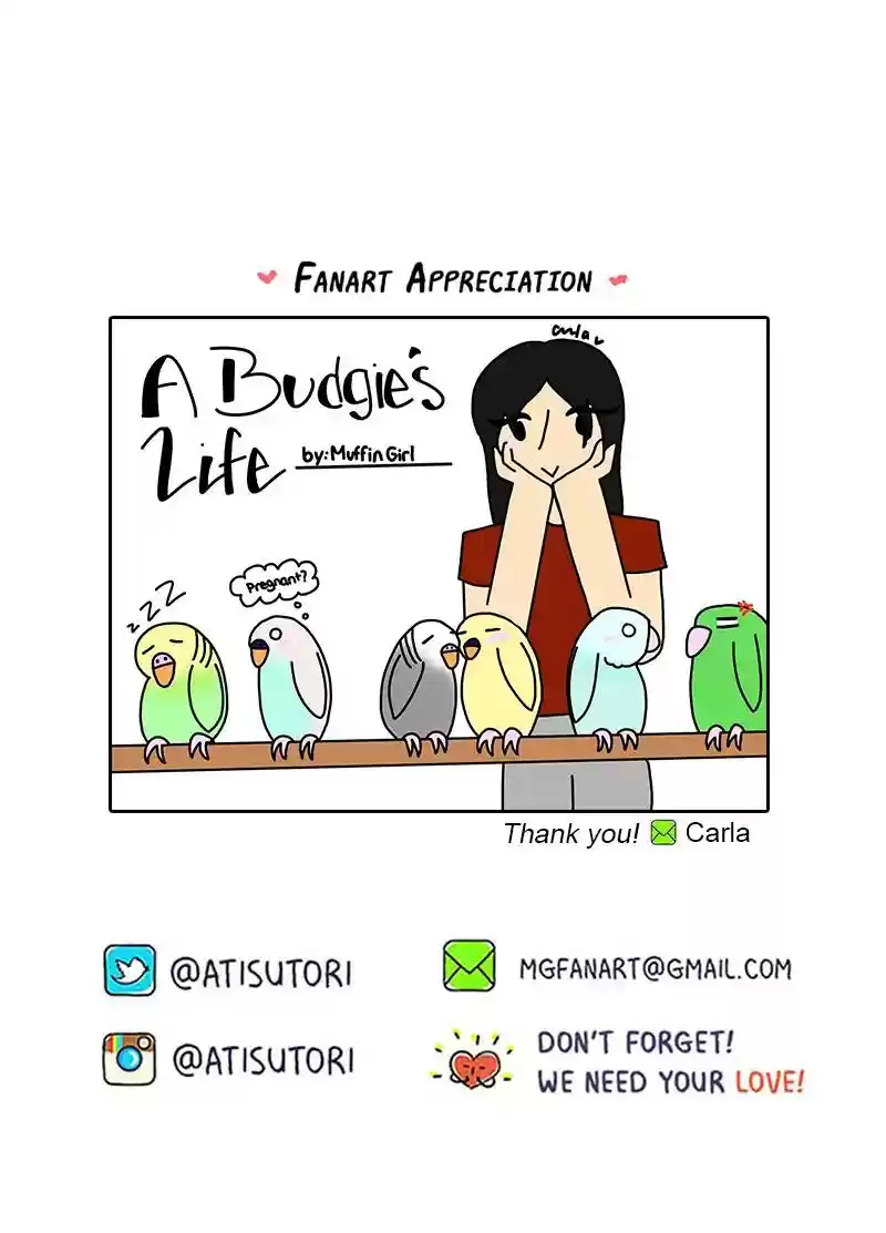 A Budgie's Life Chapter 242: Ep.241: