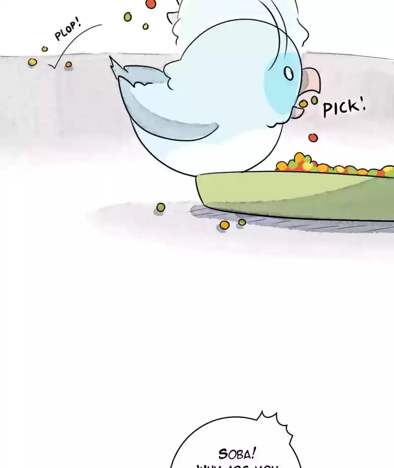 A Budgie's Life Chapter 243: Ep.242: