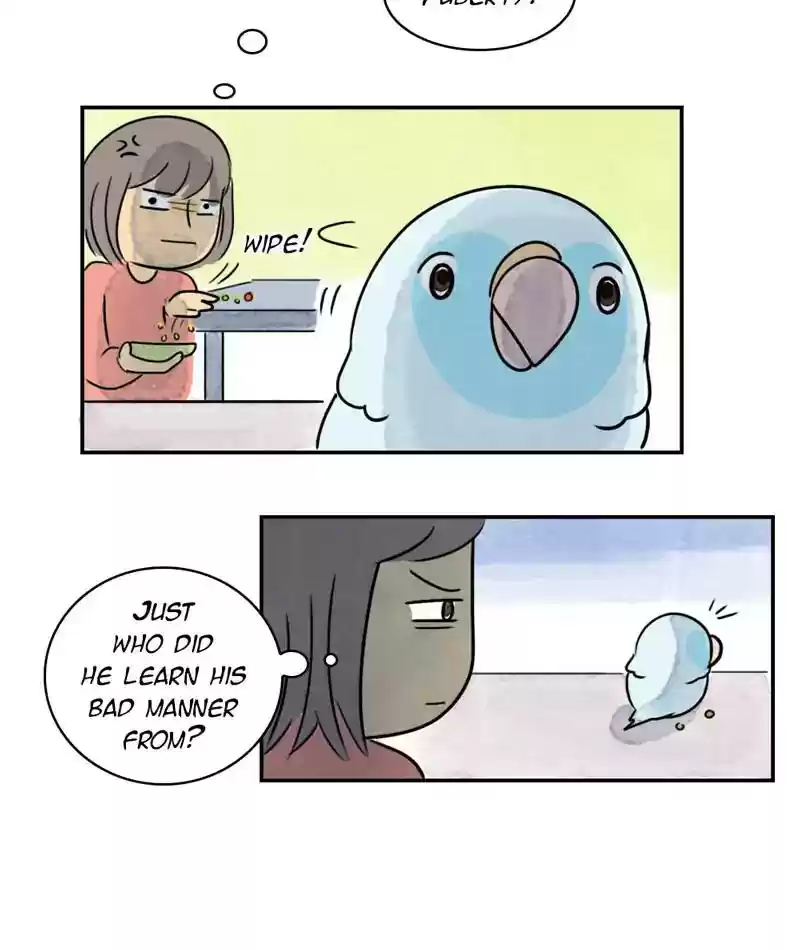 A Budgie's Life Chapter 243: Ep.242: