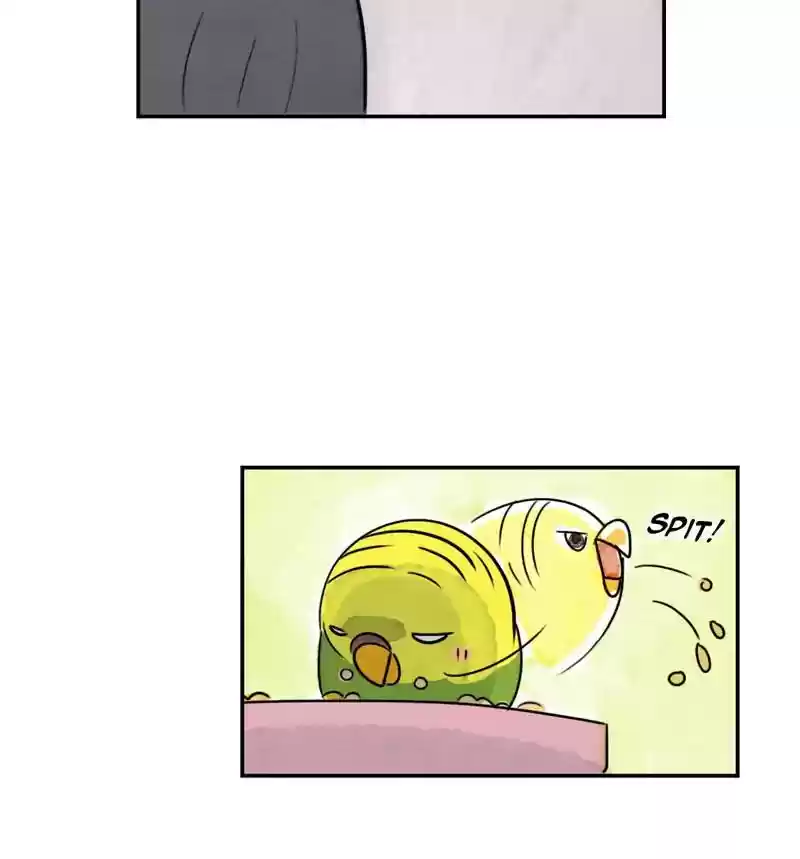 A Budgie's Life Chapter 243: Ep.242: