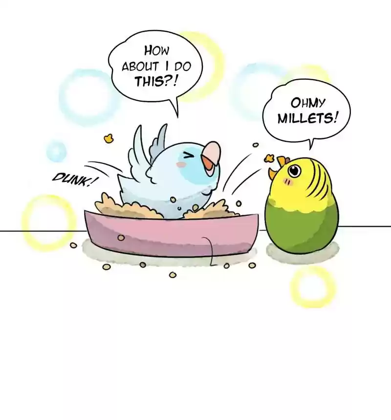 A Budgie's Life Chapter 243: Ep.242: