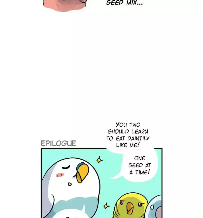A Budgie's Life Chapter 243: Ep.242: