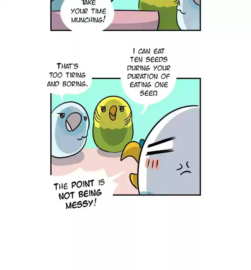 A Budgie's Life Chapter 243: Ep.242: