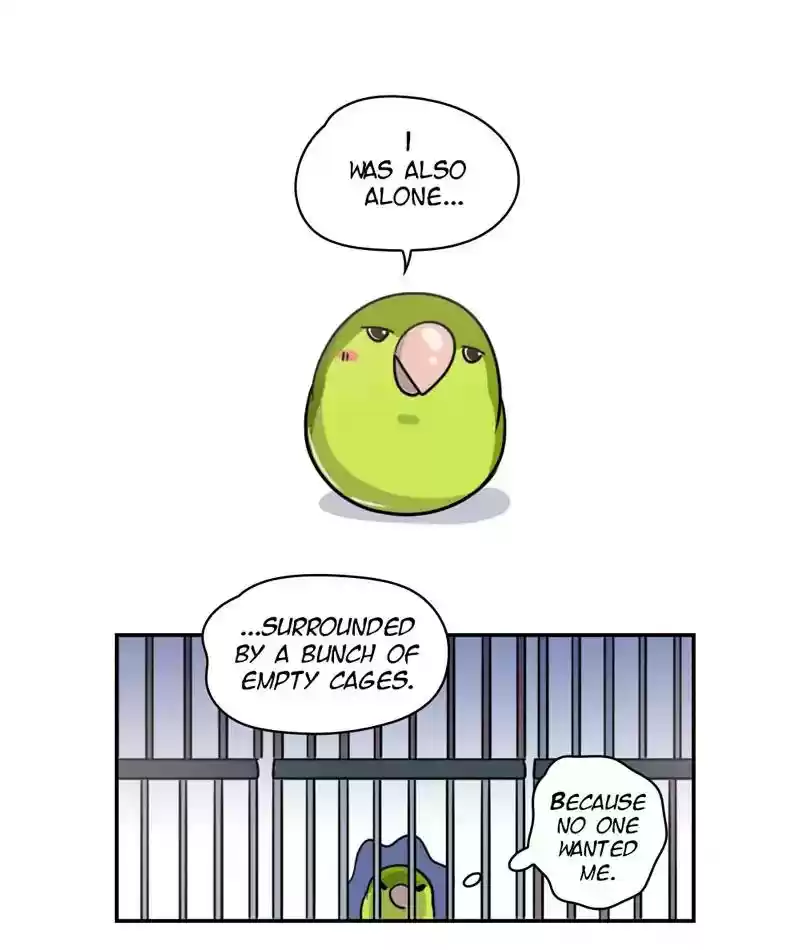 A Budgie's Life Chapter 244: Ep.243: