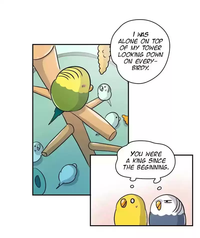 A Budgie's Life Chapter 244: Ep.243: