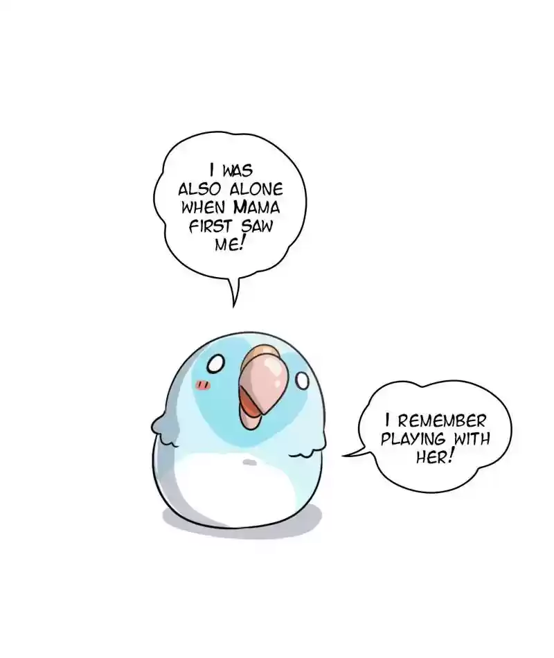 A Budgie's Life Chapter 244: Ep.243: