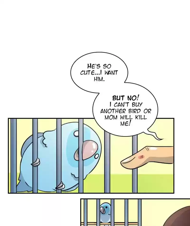 A Budgie's Life Chapter 244: Ep.243: