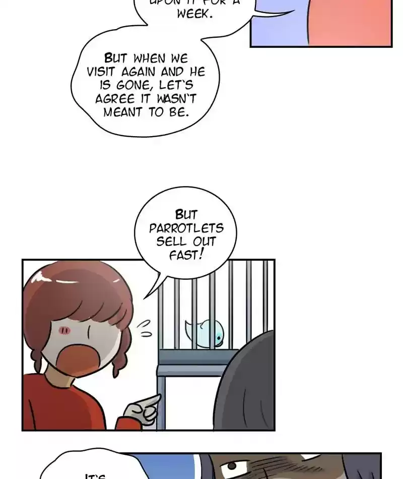 A Budgie's Life Chapter 244: Ep.243: