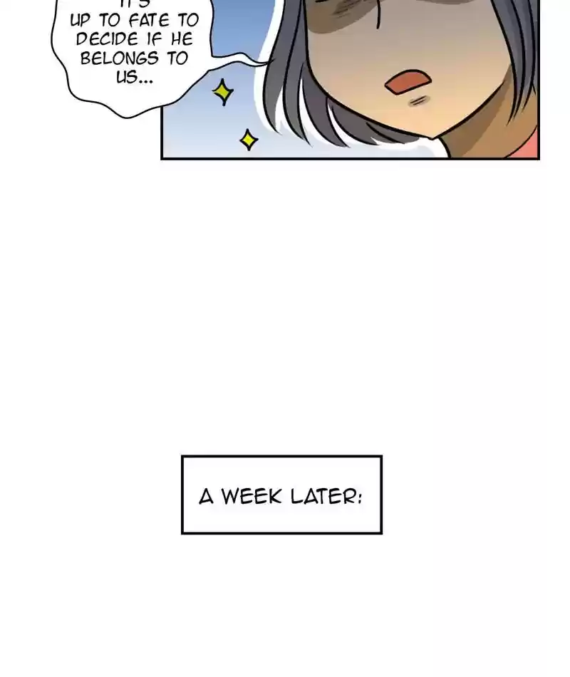 A Budgie's Life Chapter 244: Ep.243: