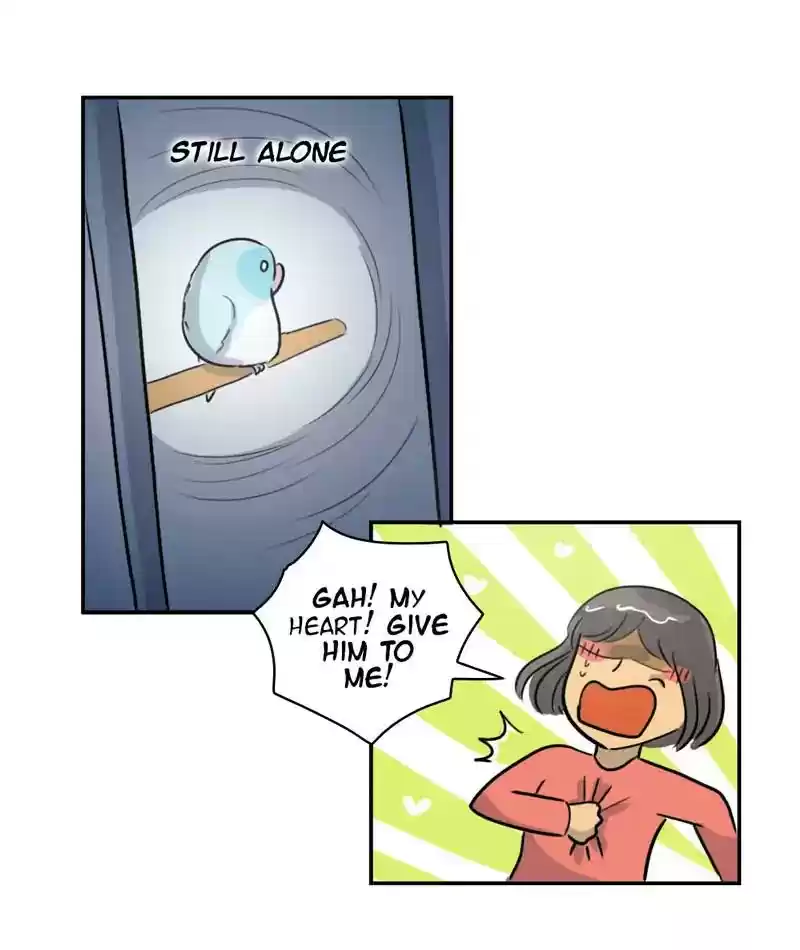 A Budgie's Life Chapter 244: Ep.243: