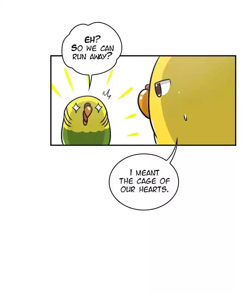 A Budgie's Life Chapter 244: Ep.243: