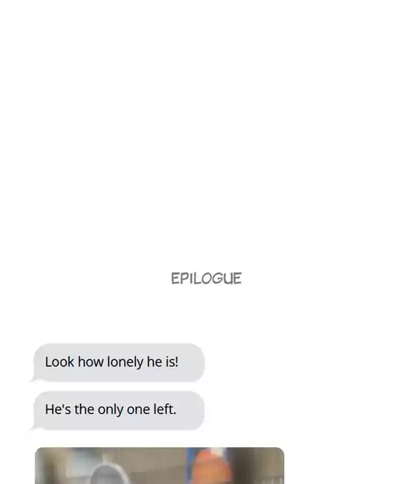 A Budgie's Life Chapter 244: Ep.243: