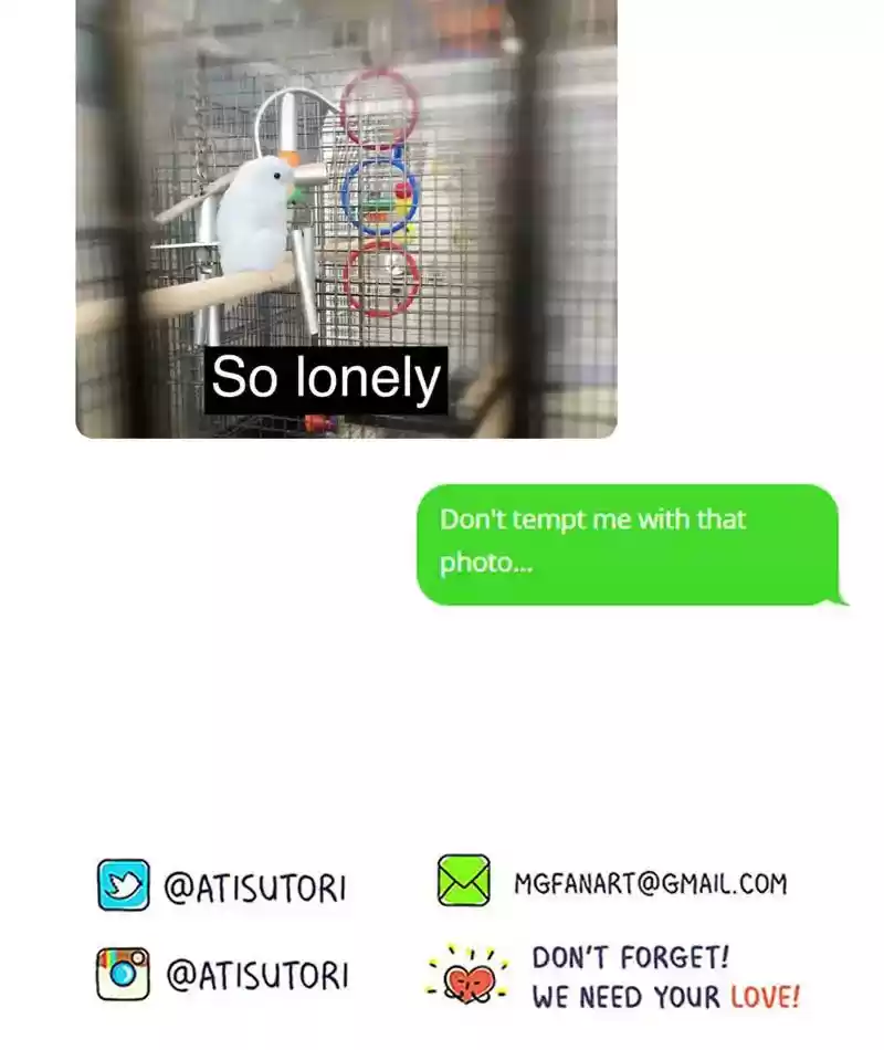 A Budgie's Life Chapter 244: Ep.243: