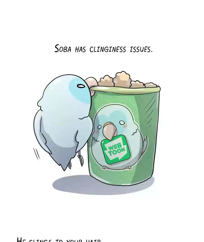 A Budgie's Life Chapter 245: Ep.244: