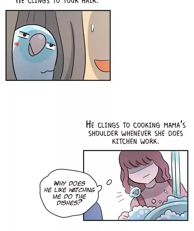 A Budgie's Life Chapter 245: Ep.244: