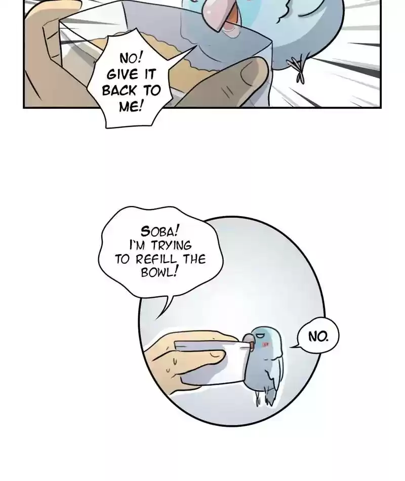 A Budgie's Life Chapter 245: Ep.244: