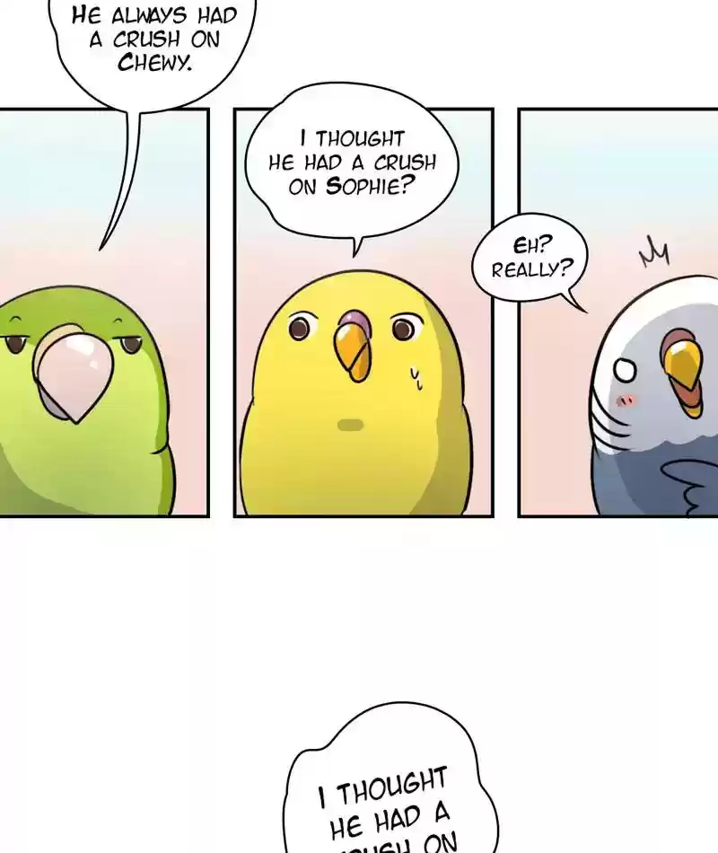 A Budgie's Life Chapter 245: Ep.244: