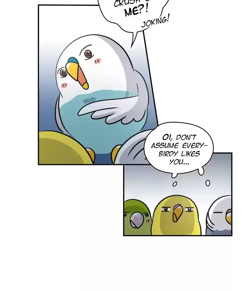 A Budgie's Life Chapter 245: Ep.244: