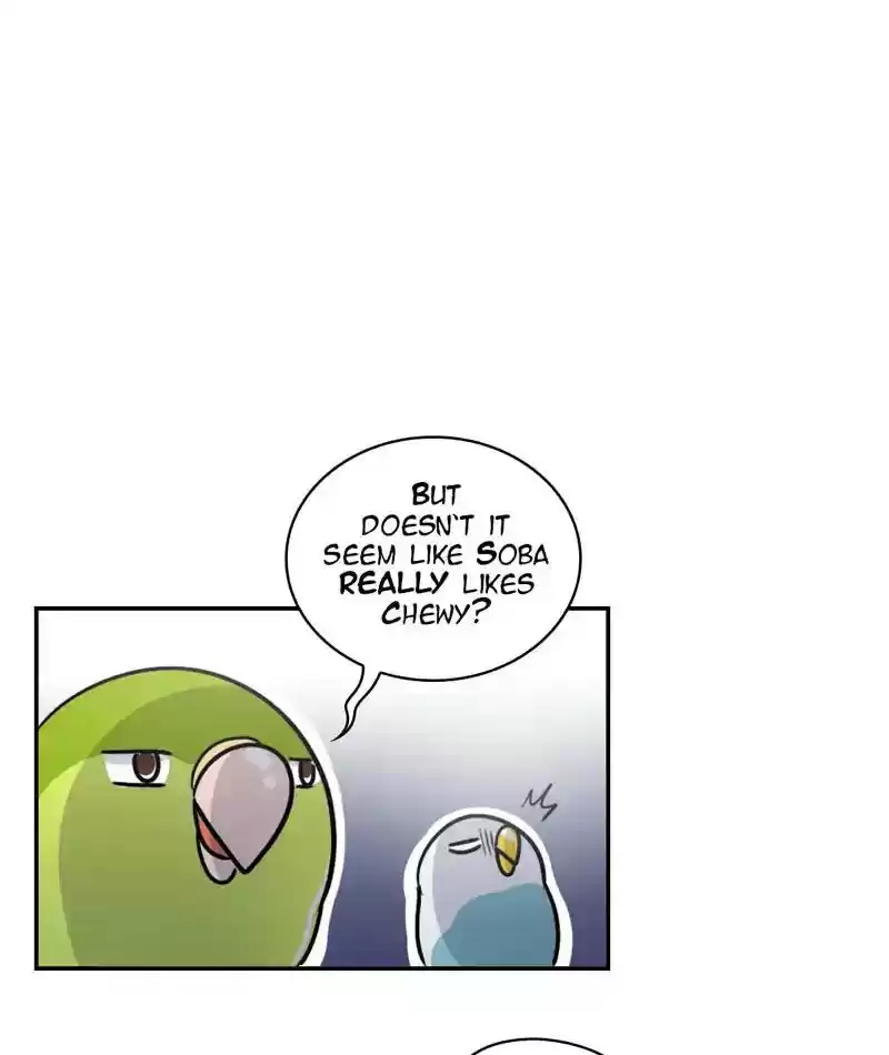 A Budgie's Life Chapter 245: Ep.244: