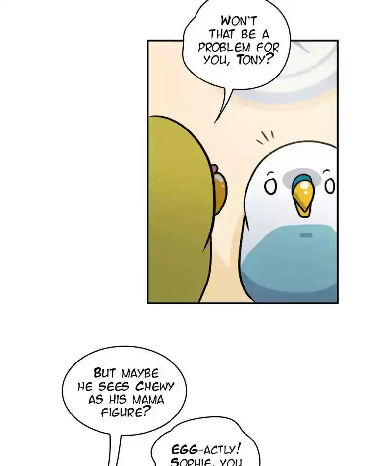 A Budgie's Life Chapter 245: Ep.244: