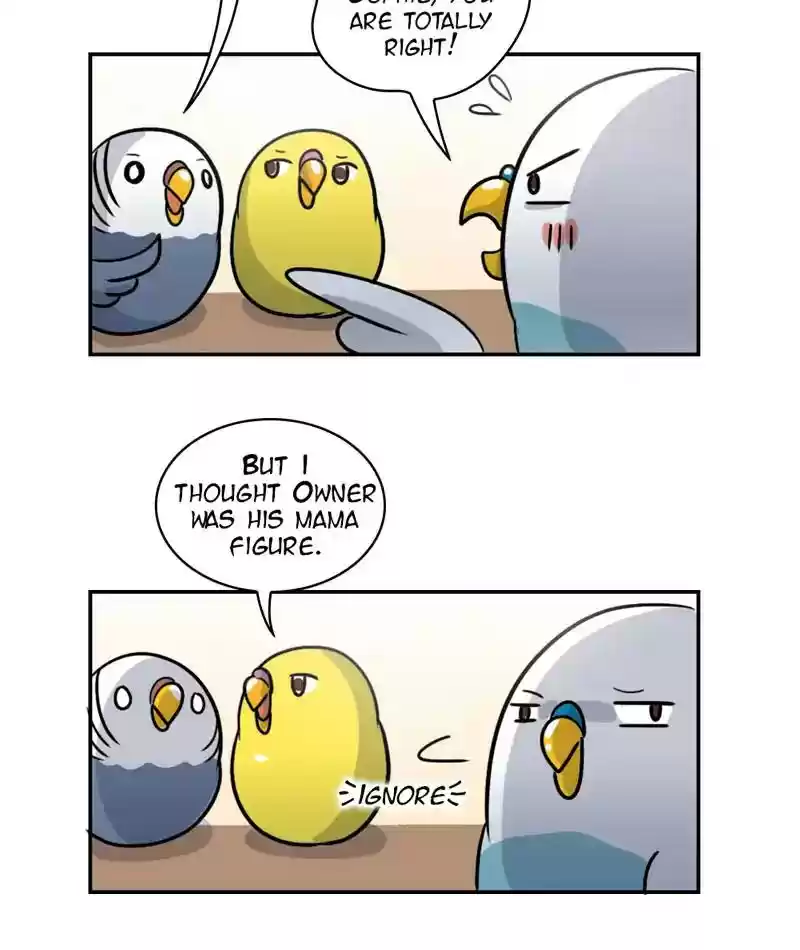 A Budgie's Life Chapter 245: Ep.244: