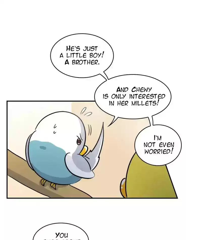 A Budgie's Life Chapter 245: Ep.244: