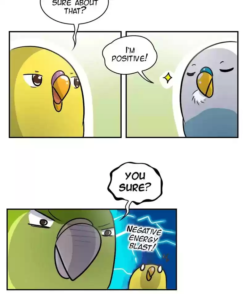 A Budgie's Life Chapter 245: Ep.244: