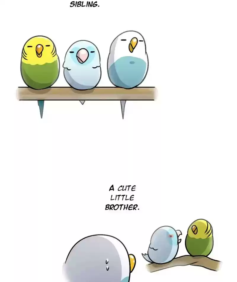 A Budgie's Life Chapter 245: Ep.244: