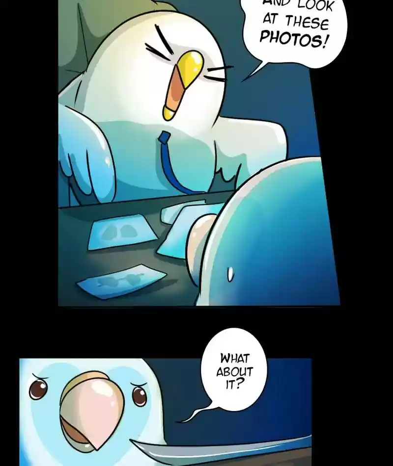 A Budgie's Life Chapter 246: Ep.245: