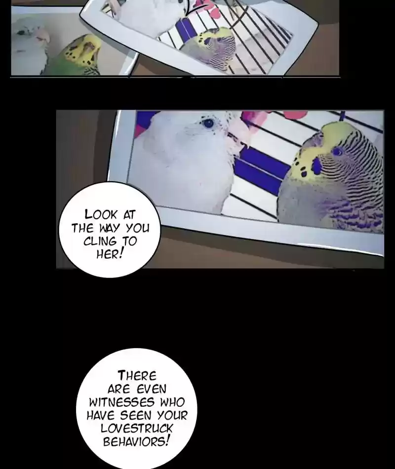 A Budgie's Life Chapter 246: Ep.245: