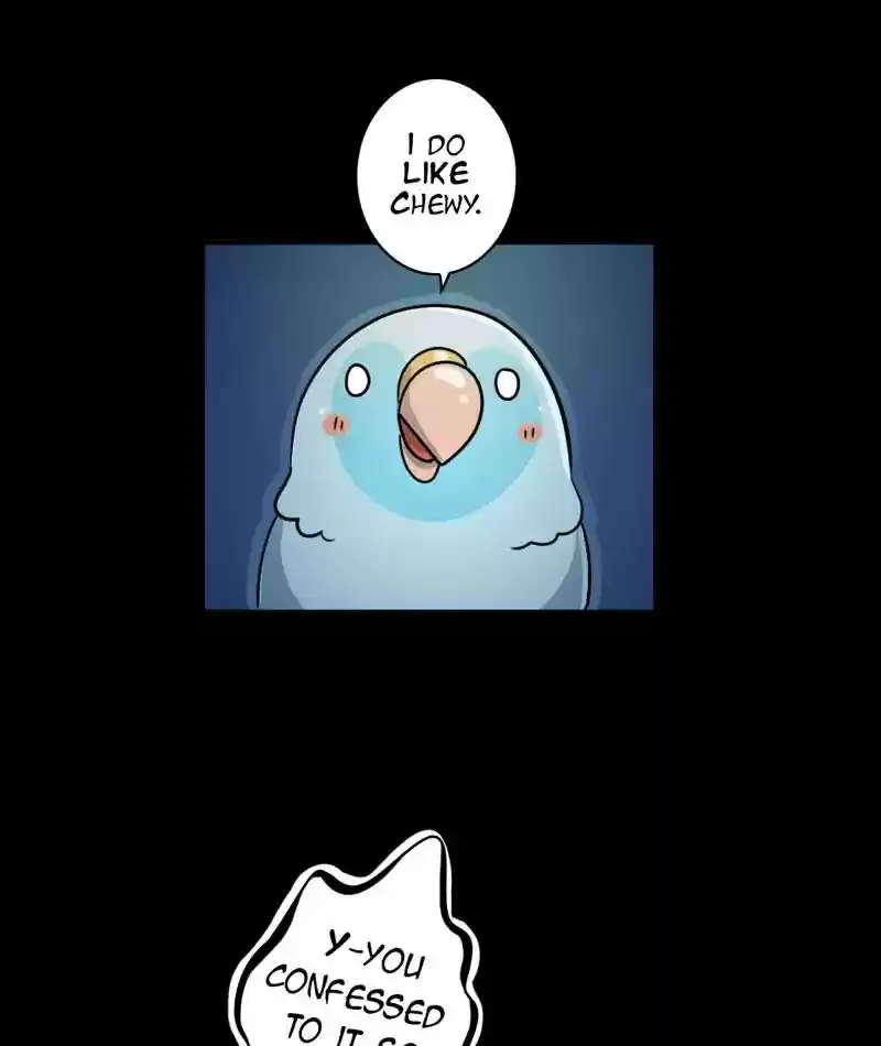 A Budgie's Life Chapter 246: Ep.245: