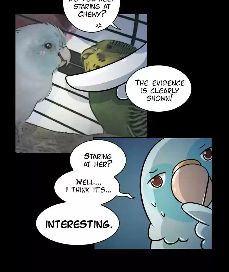 A Budgie's Life Chapter 246: Ep.245:
