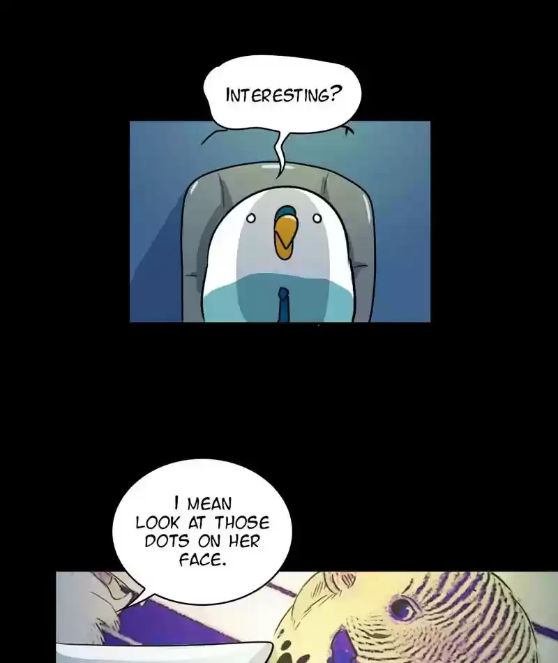 A Budgie's Life Chapter 246: Ep.245: