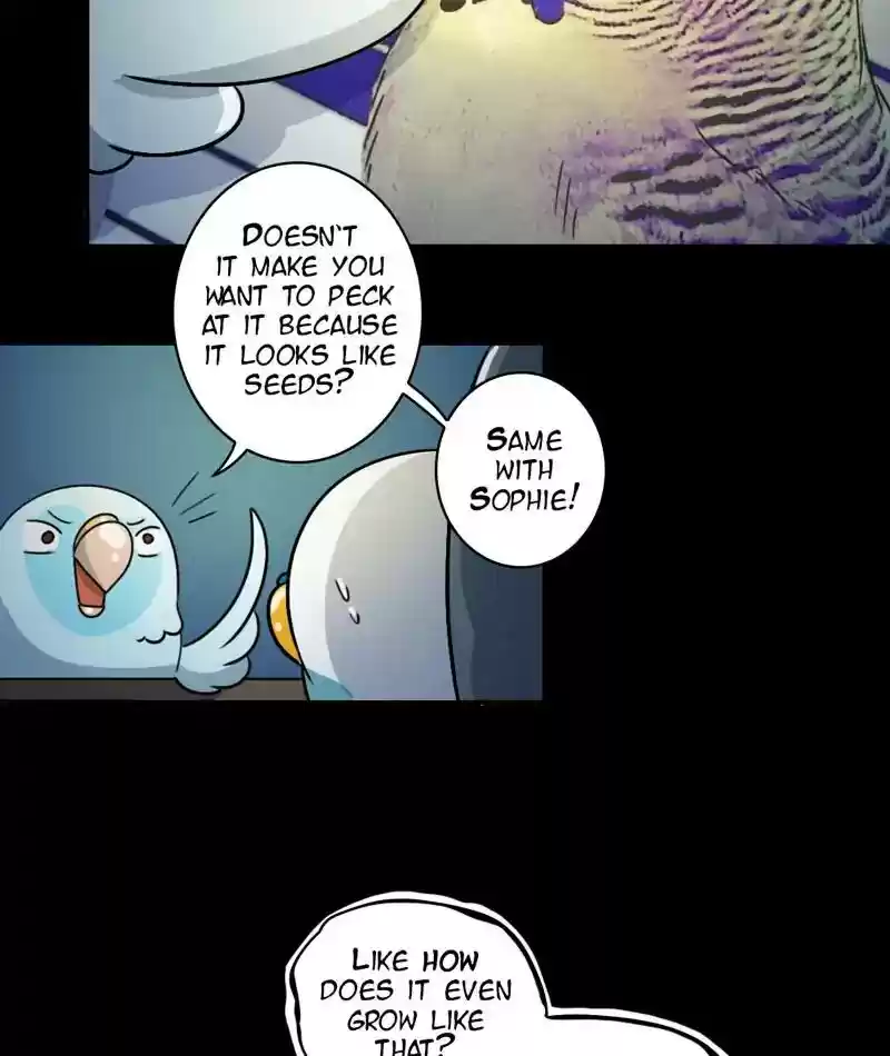 A Budgie's Life Chapter 246: Ep.245: