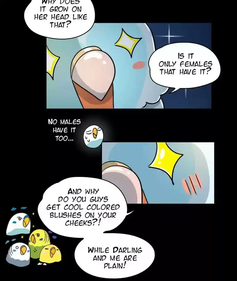 A Budgie's Life Chapter 246: Ep.245: