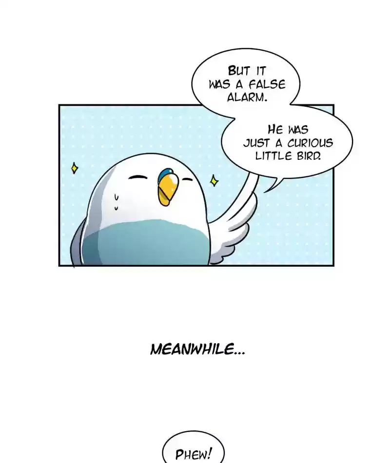 A Budgie's Life Chapter 246: Ep.245: