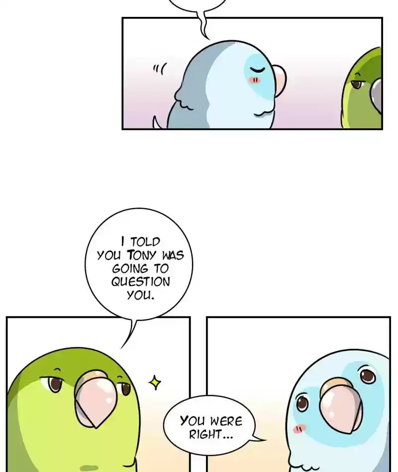 A Budgie's Life Chapter 246: Ep.245: