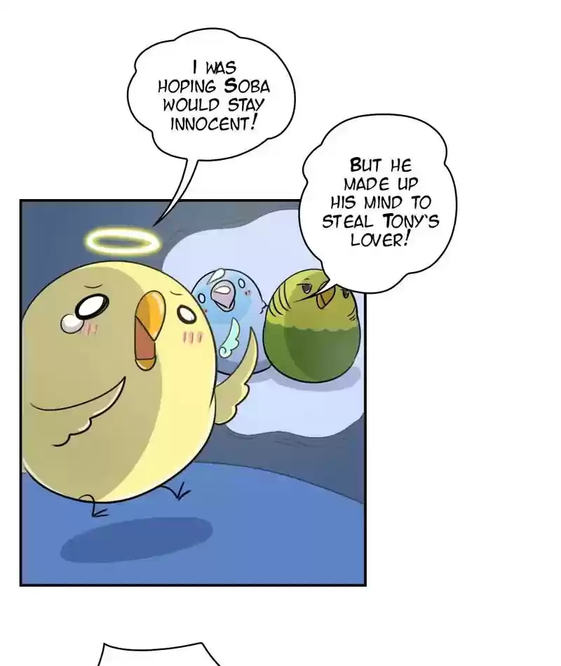 A Budgie's Life Chapter 247: Ep.246: