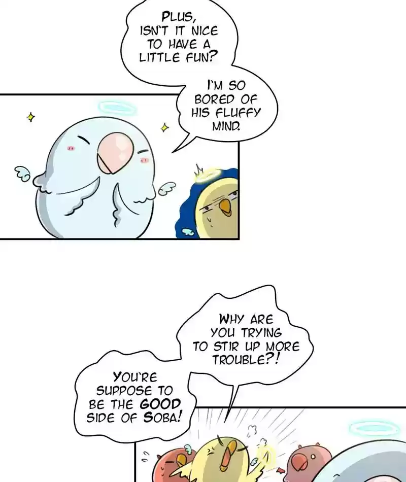 A Budgie's Life Chapter 247: Ep.246: