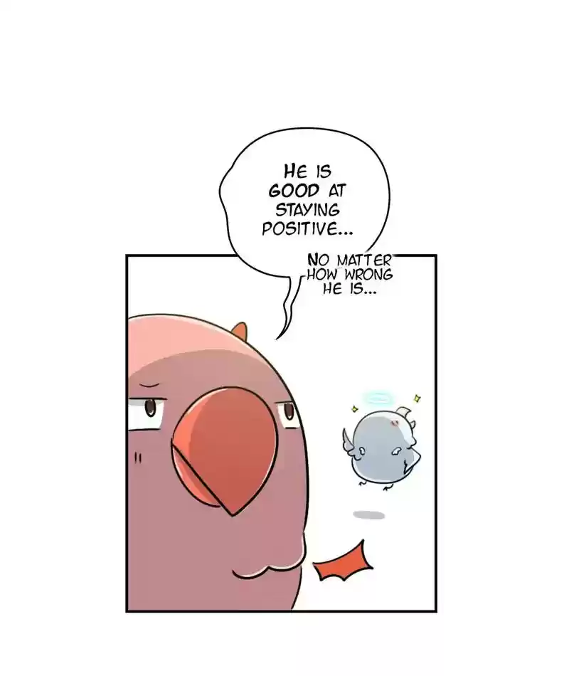 A Budgie's Life Chapter 247: Ep.246: