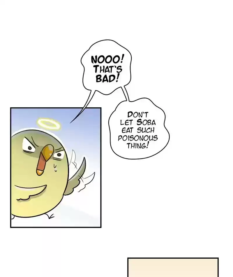 A Budgie's Life Chapter 247: Ep.246: