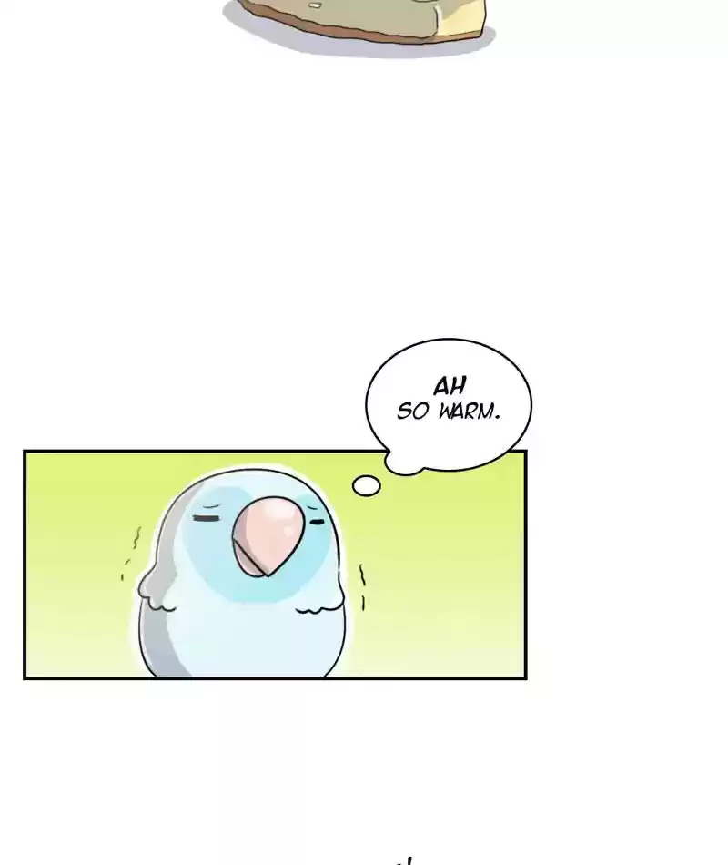 A Budgie's Life Chapter 248: Ep.247: