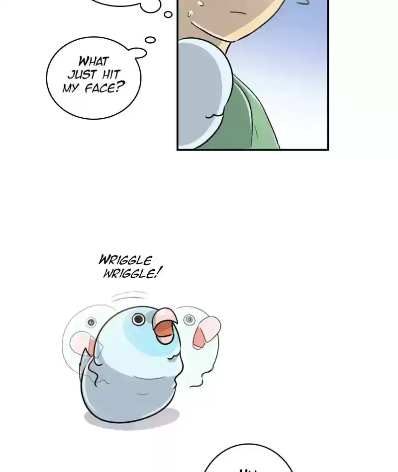 A Budgie's Life Chapter 248: Ep.247: